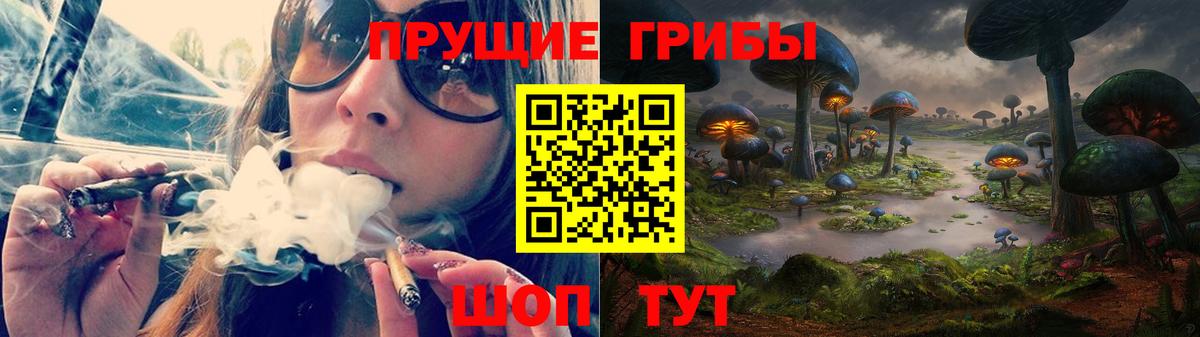 Гатчина  Псилоцибиновые грибы прущие грибы  Вход с VPN 